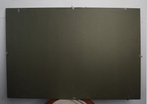 俯首甘为孺子牛(5)