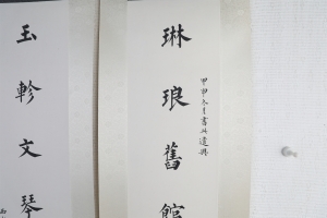 (3)