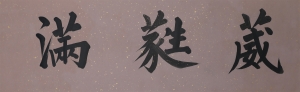 (3)