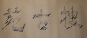 (3)