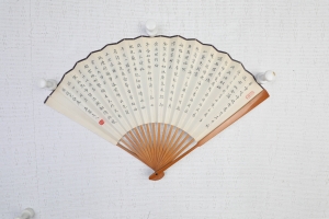 (5)