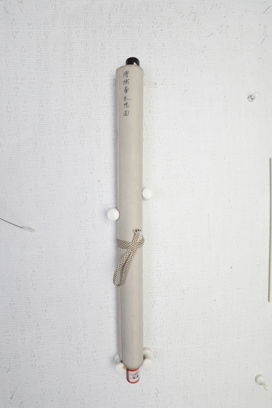 (5)