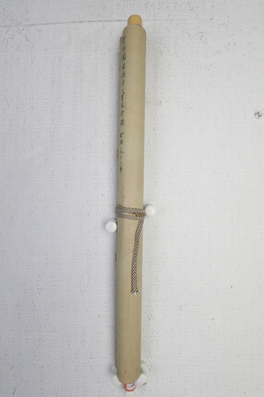 (5)