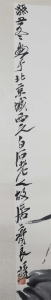 南瓜(2)