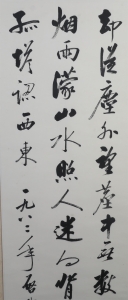 (3)