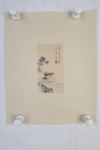 (11)