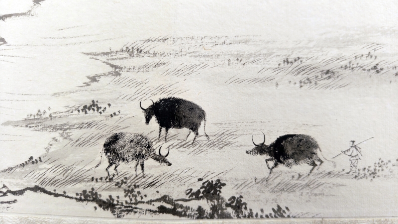 指画(3)