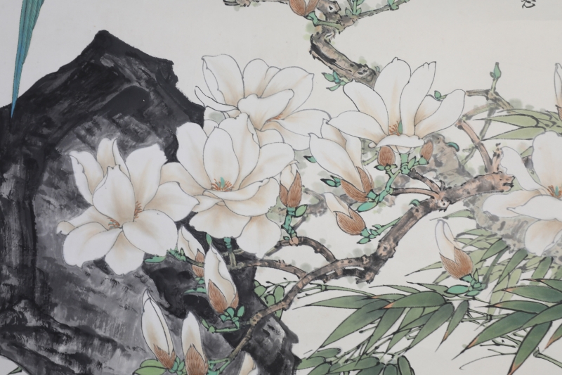 玉兰鹦鹉(4)