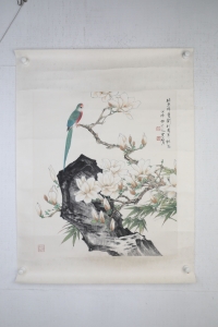 玉兰鹦鹉(6)